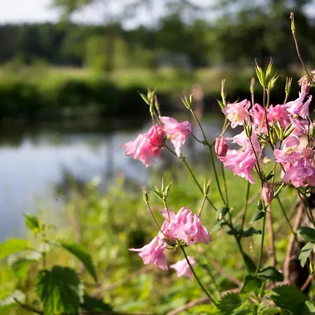Białobrzeg * Bialobrzeg Dalszy