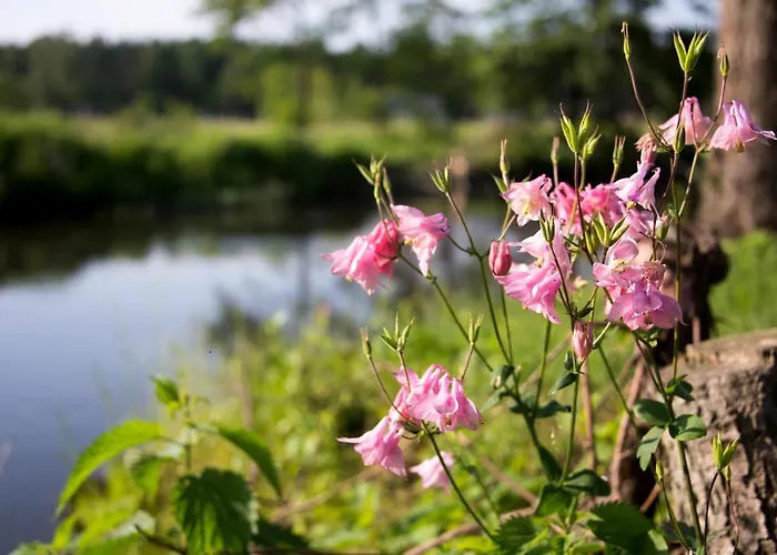Bialobrzeg * Bialobrzeg Dalszy